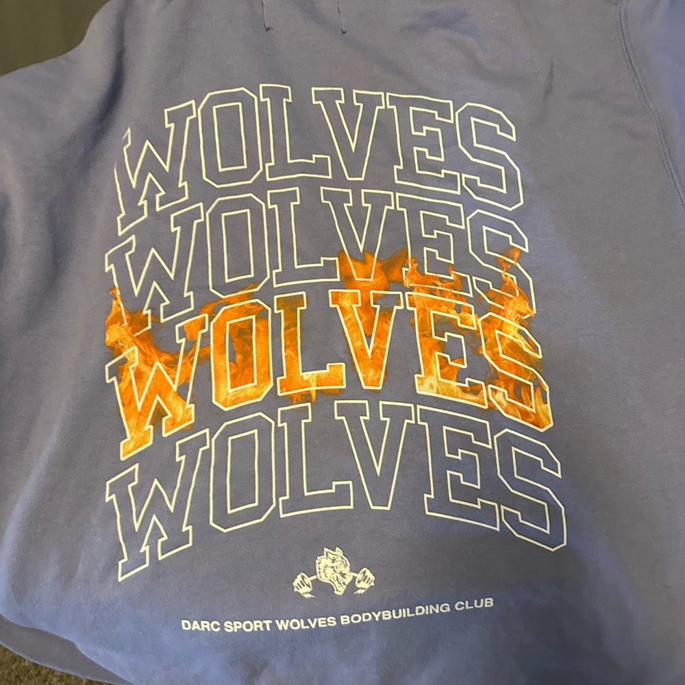 Darc Sport Hoodie with Wolves Graphic in Blue and Orange